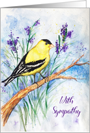 Watercolor Goldfinch Sympathy for Man card