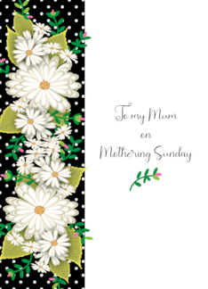 Mothering Sunday to...