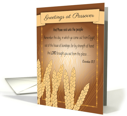 Passover Greetings Exodus Moses Quote card (1678086)