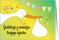 Polish Congratulations Birth New Baby Stork Blank card