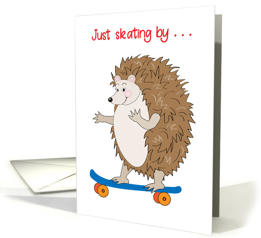 Hedgehog Skateboard Birthday card (1684694)