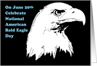 National American Bald Eagle Day June 20th card
