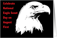 National Eagle Scout Day August First American Bald Eagle card