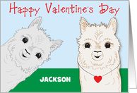 Alpacas Custom Name Valentine card