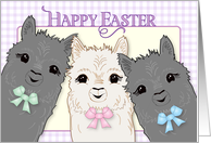 Alpacas Happy Easter card