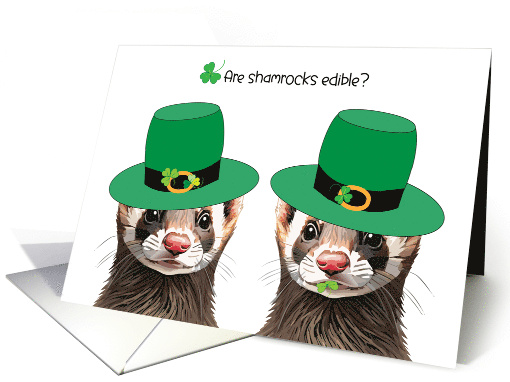 St Patrick's Day Ferrets Shamrocks card (1812502)