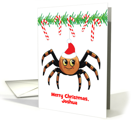 Custom Name Christmas Spider card (1871836)