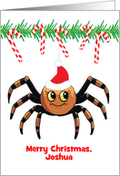 Custom Name Christmas Spider card