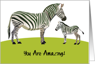Encouragement Zebra Theme card