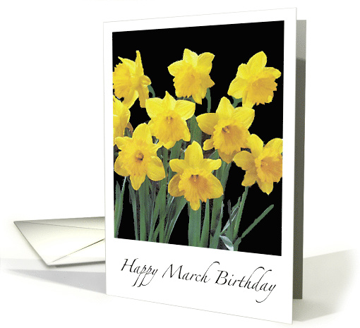 Birthday March Daffodils card (527332)