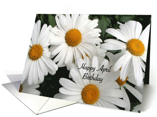 Birthday April White Daisies card (538702)