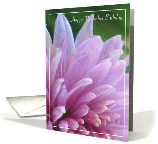 November Birthday Pink Chrysanthemum card (539067)
