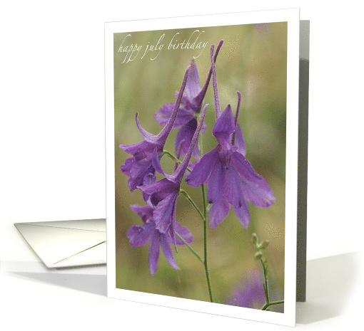 July Birthday Purple Larkspur card (539508)