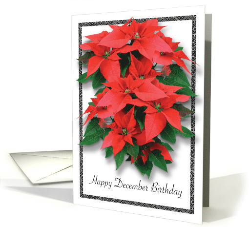 December Birthday Poinsettias card (539516)