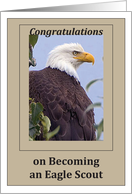 Congratulations Eagle Scout card