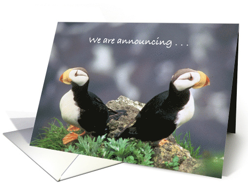 Announcement Of Divorce Puffins card (559766)