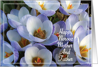 Persian Norooz for Mother Father Crocus card