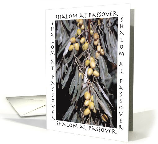 Holidays Passover for Parents Olive Branch card (577607)