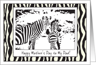 Zebras Mother's Day...