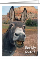 Quit Smoking Laughing Donkey card
