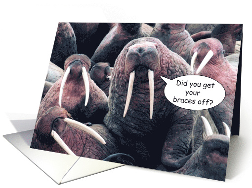 Braces Off Walrus card (588747)