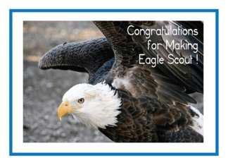 Eagle Scout / Nephew