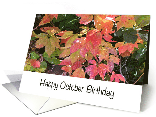 Birthday In October Autumn Leaves card (600837)