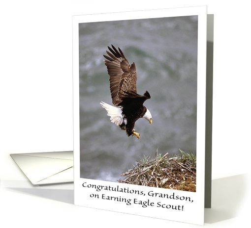 Congratulations / Eagle Scout Grandson card (620389)