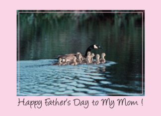 Father's Day / To Mom