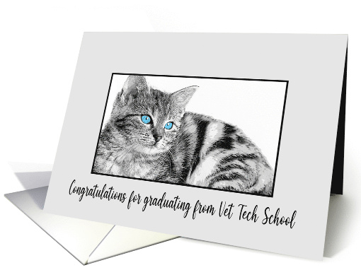 Congratulations Veterinarian Tech School Graduation Kitten card