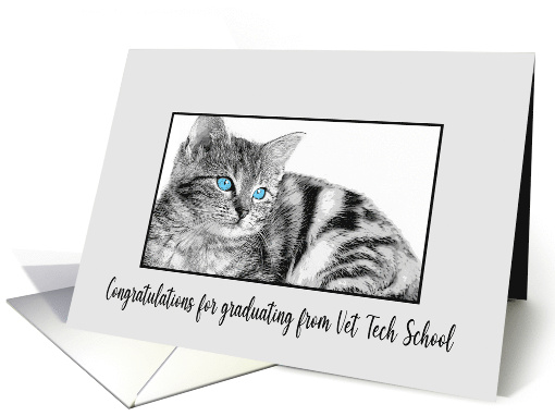 Congratulations Veterinarian Tech School Graduation Kitten card