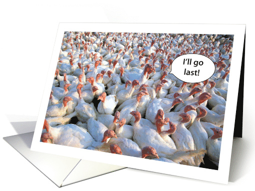 Turkeys Thanksgiving For Secret Pal card (662689)