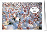 Turkeys Thanksgiving For Secret Pal card