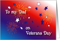 Veterans day 2024 us