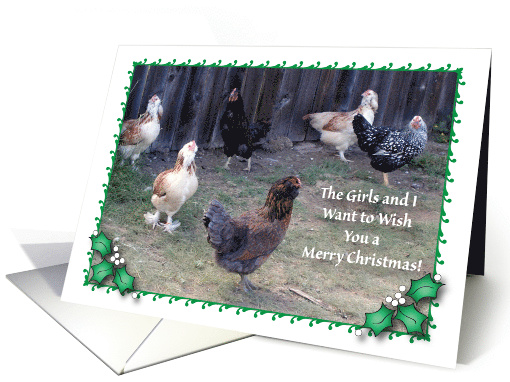 Christmas to Egg Lady, Chickens card (692597)