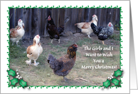 Christmas to Egg Lady, Chickens card
