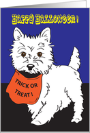Halloween / Westie, trick or treat card