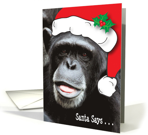 Christmas, Animals, Chimp, Humor card (700986)