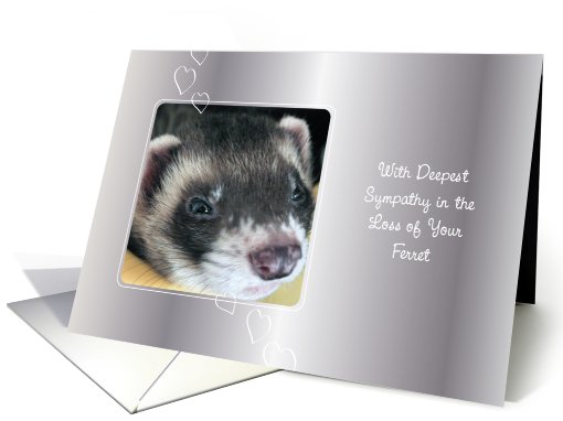 Pet Sympathy / Loss of Ferret card (713452)