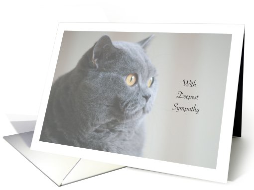 Pet Sympathy / Loss of Cat card (713549)