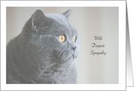 Pet Sympathy / Loss of Cat card