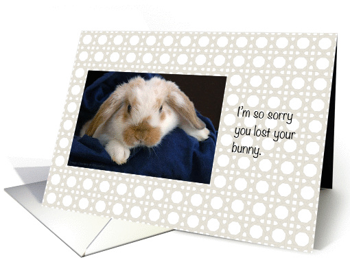 Pet Sympathy / Loss of Pet Rabbit card (714025)
