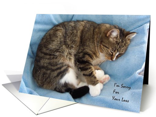 Pet Sympathy / Loss of Cat card (718096)
