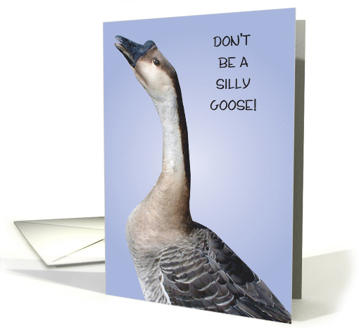 Birthday To Ex Partner Grey Goose card (733285)