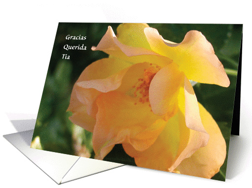 Thank You / Aunt in Spanish card (734587)