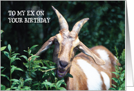 Birthdays To Ex, Goat, Humor card