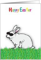 Easter To Teen Cool Bunny card