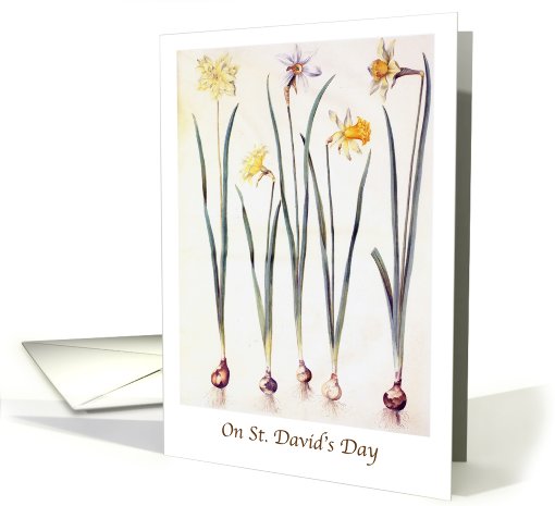 St. David's Day / To Grandparents card (771522)