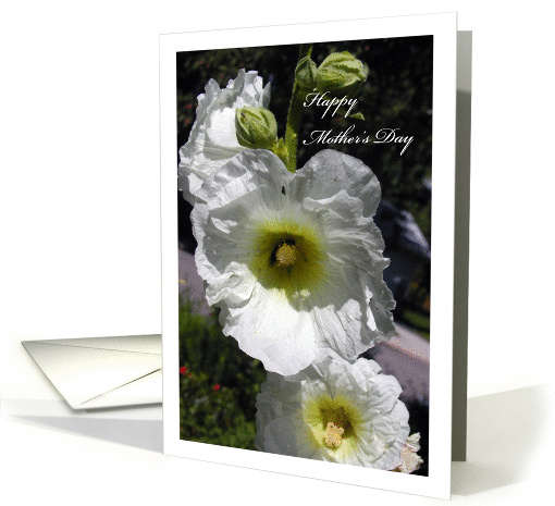 Mother's Day / To Great Granddaughter card (773080)