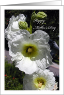 Mother’s Day / To Great Granddaughter card